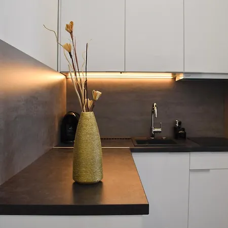 Διαμέρισμα Bogathy Kuria Business *